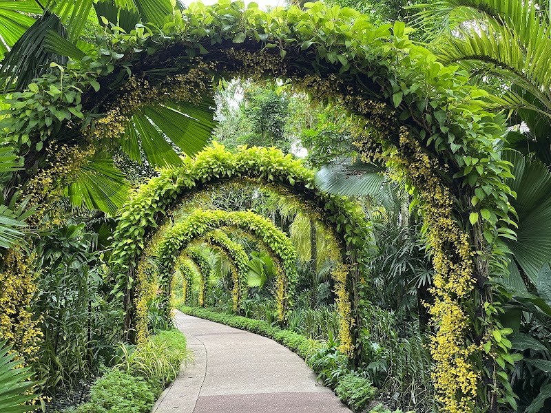National Orchid Garden