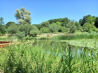 Botanischer Garten Frankfurt