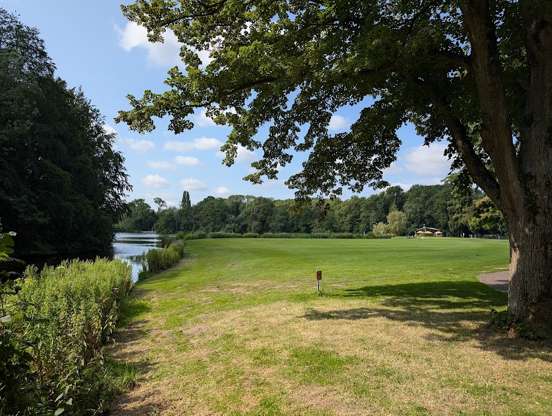 Amsterdam Forest