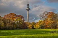 Grüneburg park