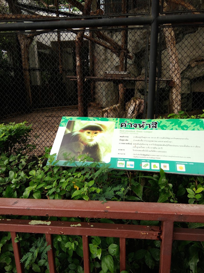 Opposite Dusit Zoo